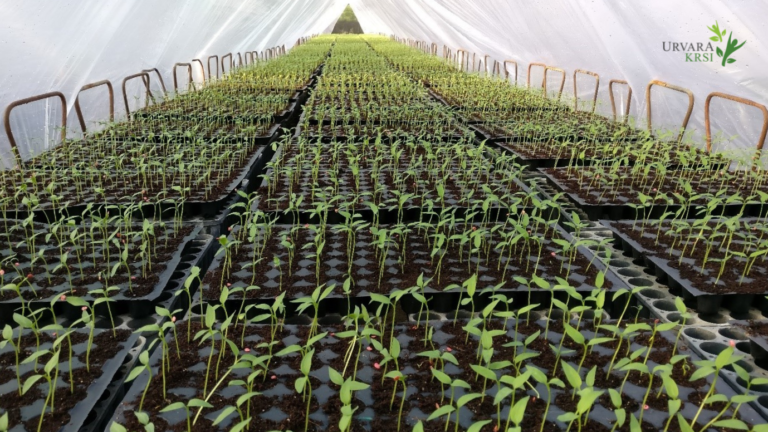 Enabling Sustainable Agriculture Through Research & Development: Urvara Krsi