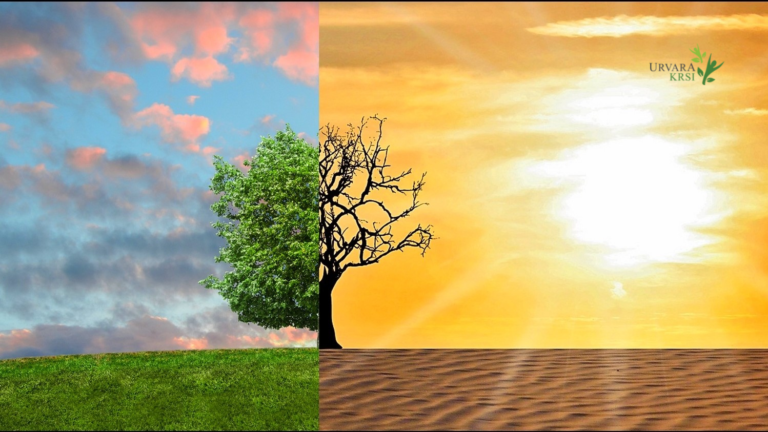 Climate Change & Environmental Impacts In The Indian ContextMangoes Post: Urvara Krsi