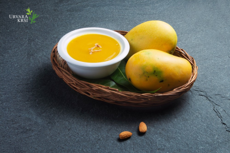 Mangoes Post: Urvara Krsi