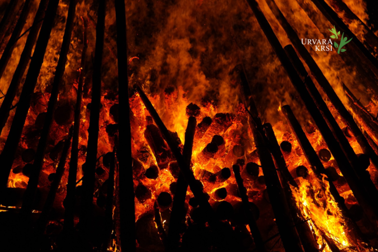 Climate Change & Heatwave: Effects On Indian Agriculture [Urvara Krsi]